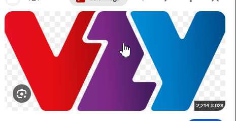 VZY logo